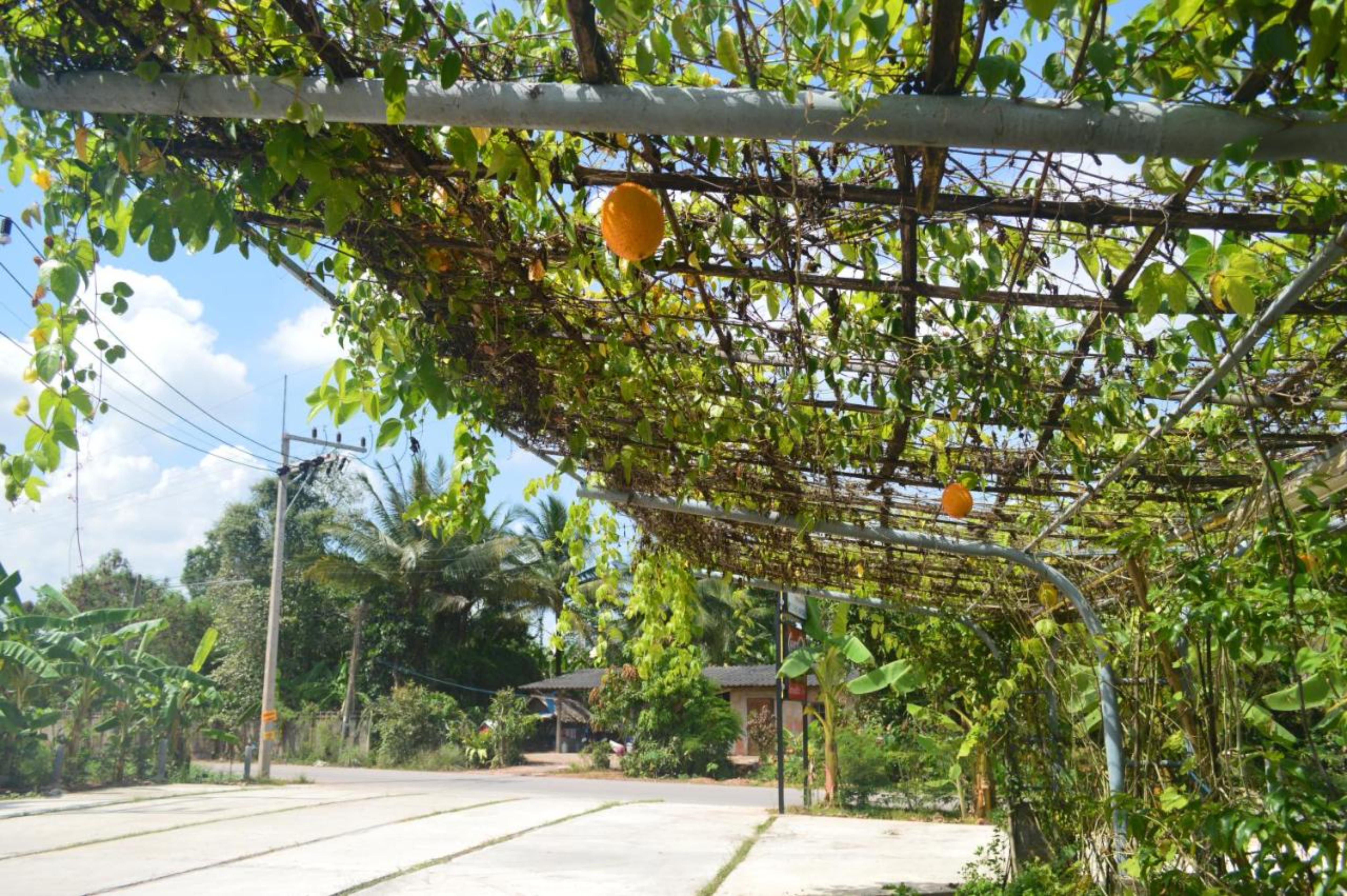 Be Fine Sabuy Hotel And Resort Surat Thani Buitenkant foto